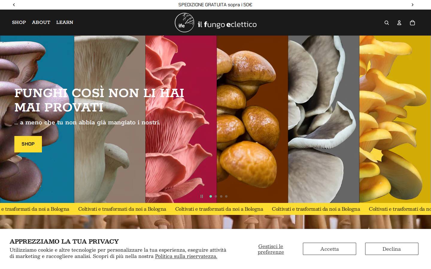 ilfungoeclettico.com homepage screenshot