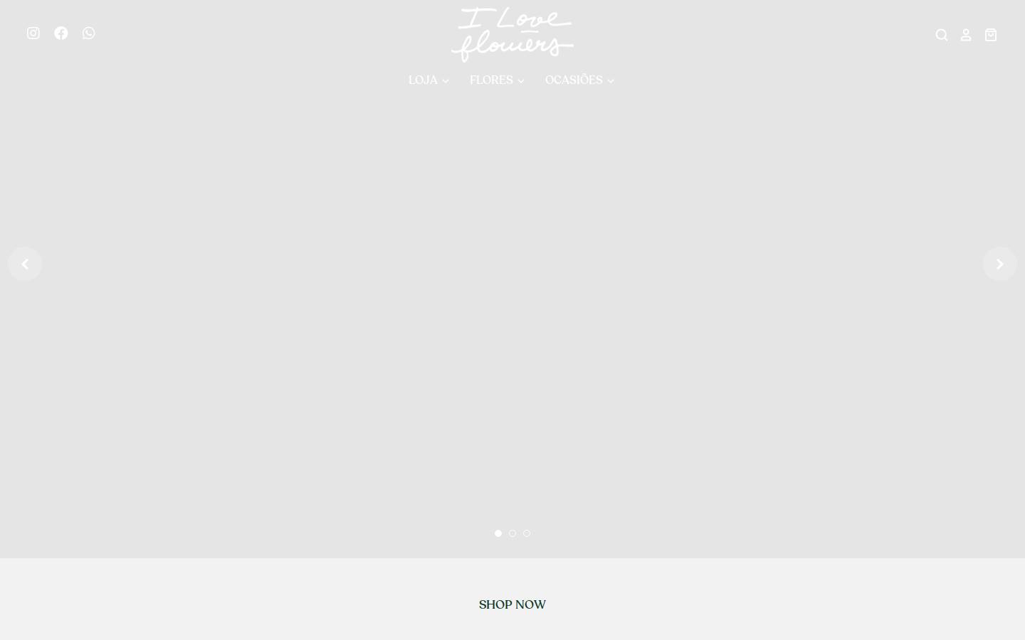iloveflowers.com.br homepage screenshot