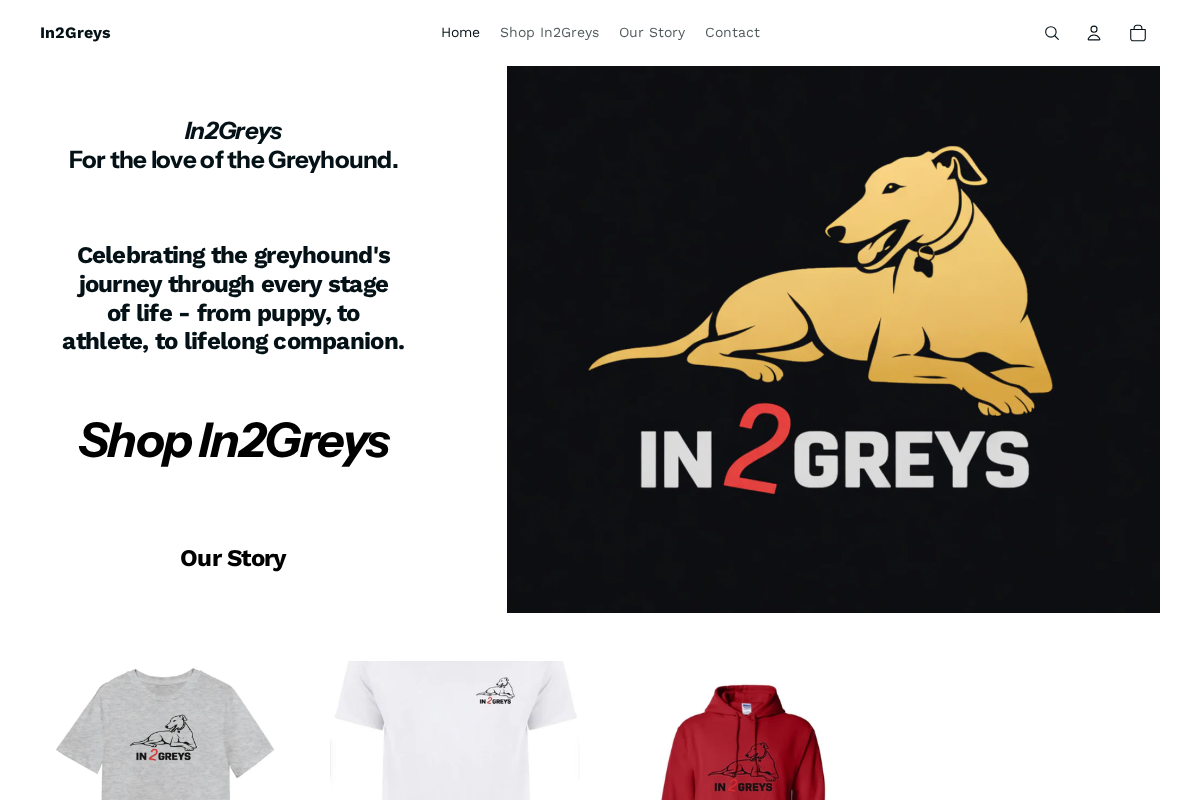 In2Greys homepage screenshot