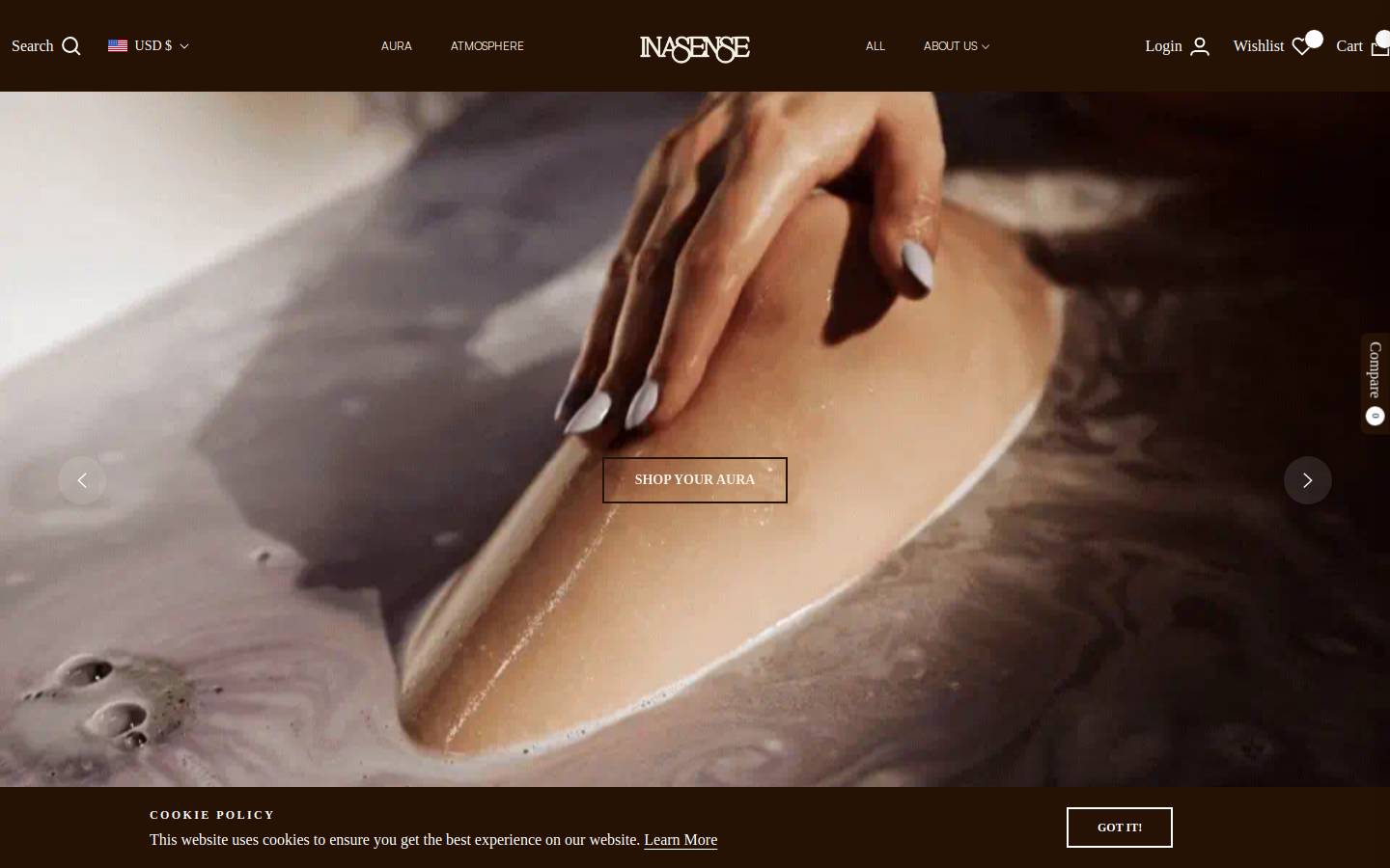 inasense.co homepage screenshot