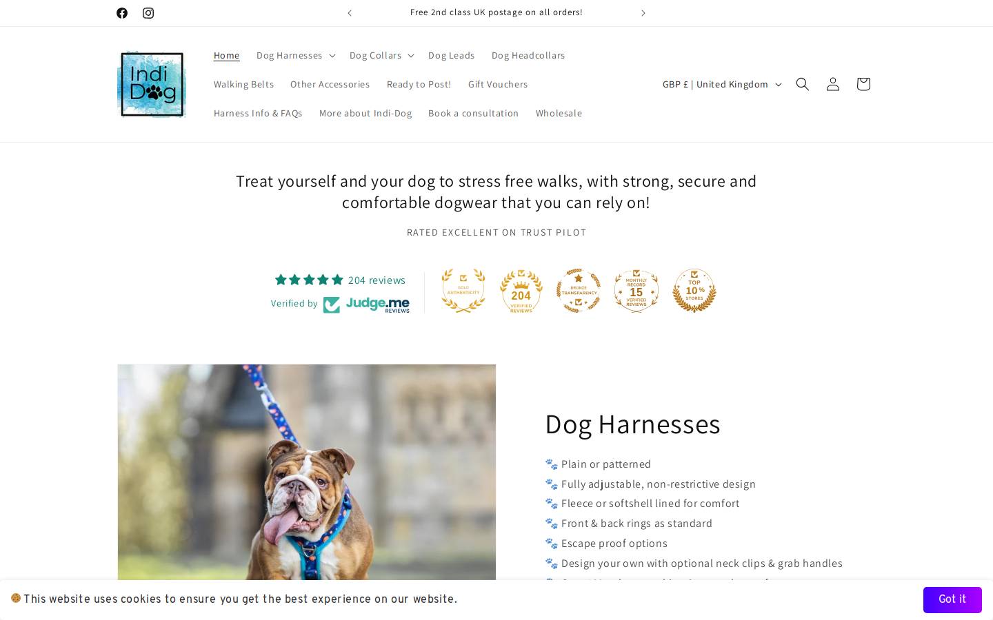 Indi Dog homepage screenshot