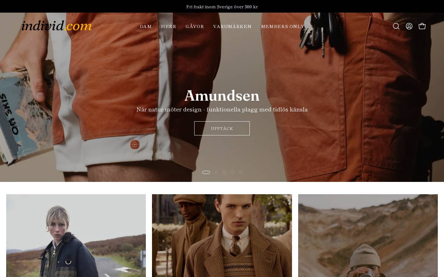 Individ homepage screenshot
