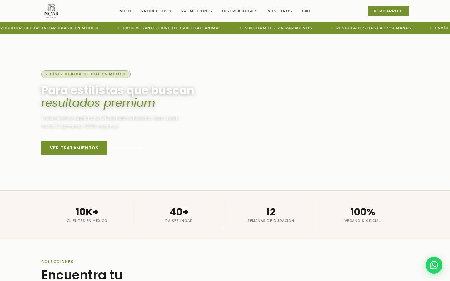 inoarmexico.mx homepage screenshot