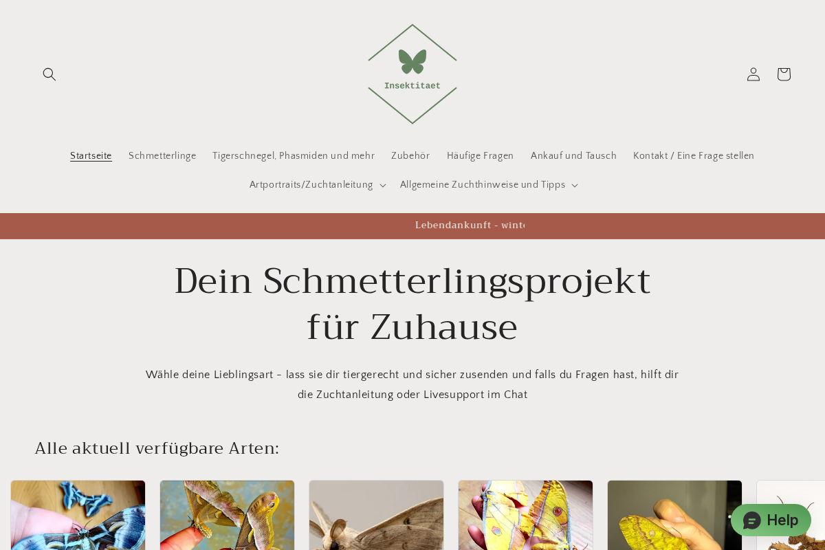Insektitaet homepage screenshot
