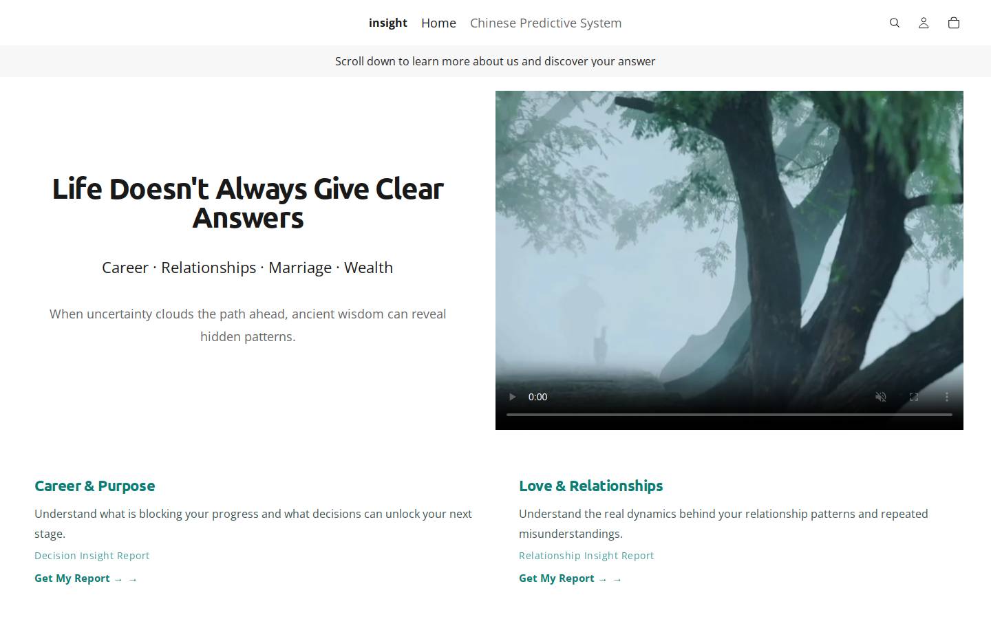 insight3131.com homepage screenshot