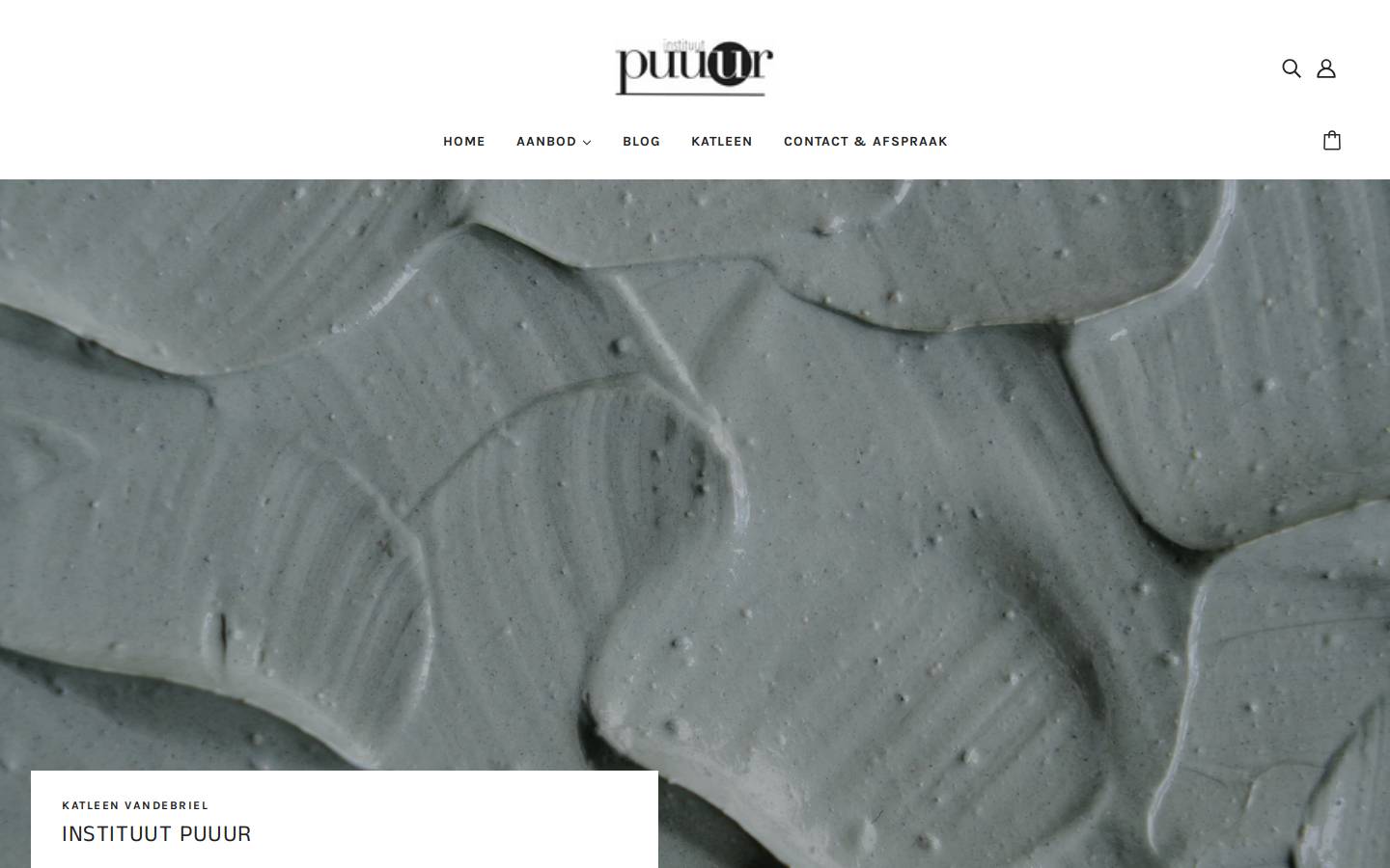 instituutpuuur.be homepage screenshot