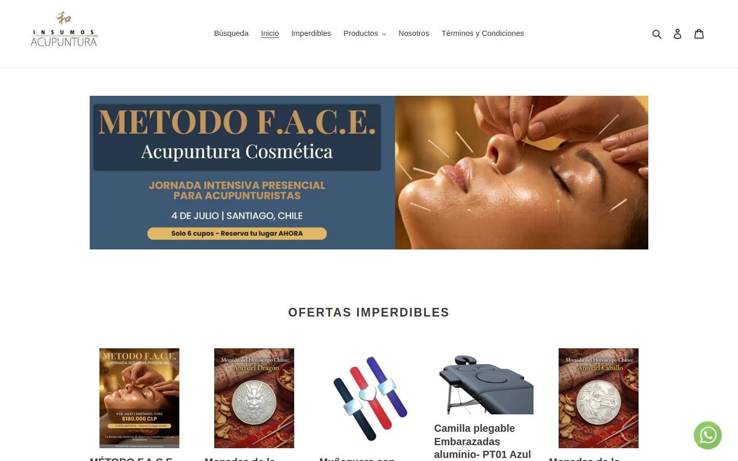 insumosacupuntura.cl homepage screenshot