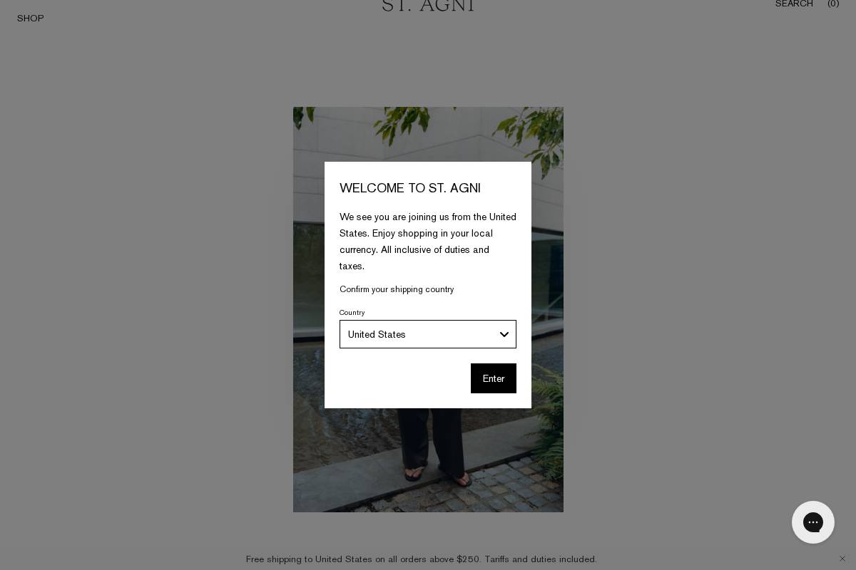 int.st-agni.com homepage screenshot