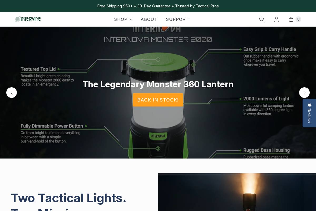 Intervine homepage screenshot