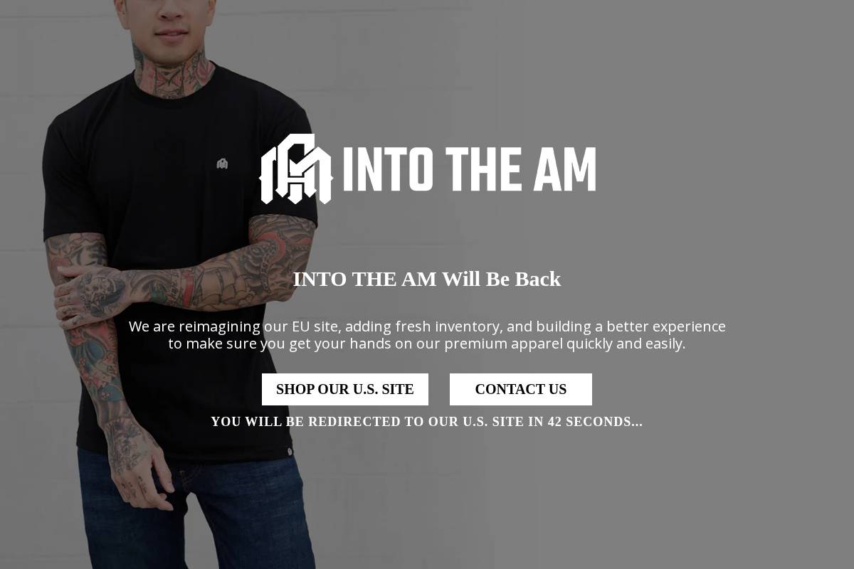 INTO THE AM homepage screenshot