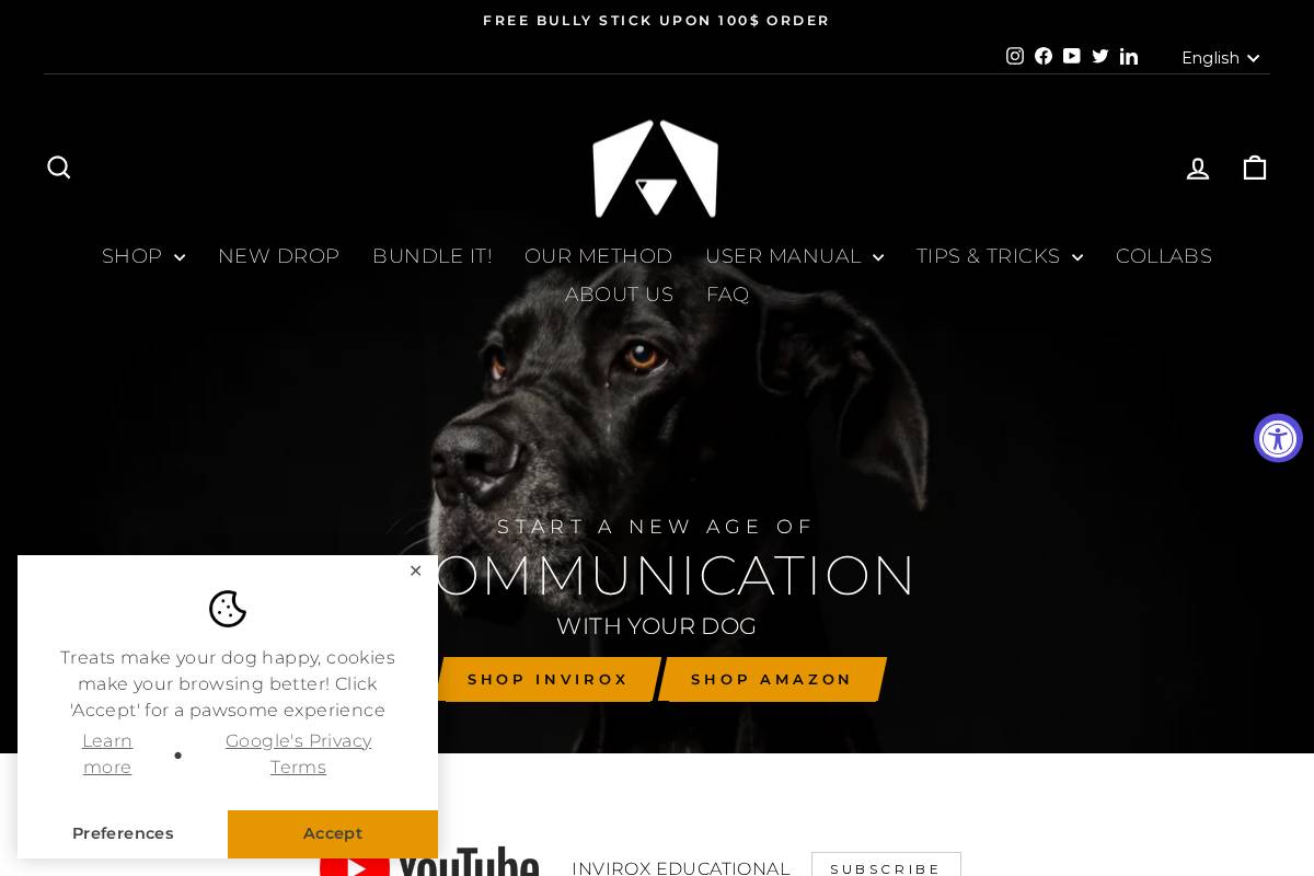 Invirox homepage screenshot