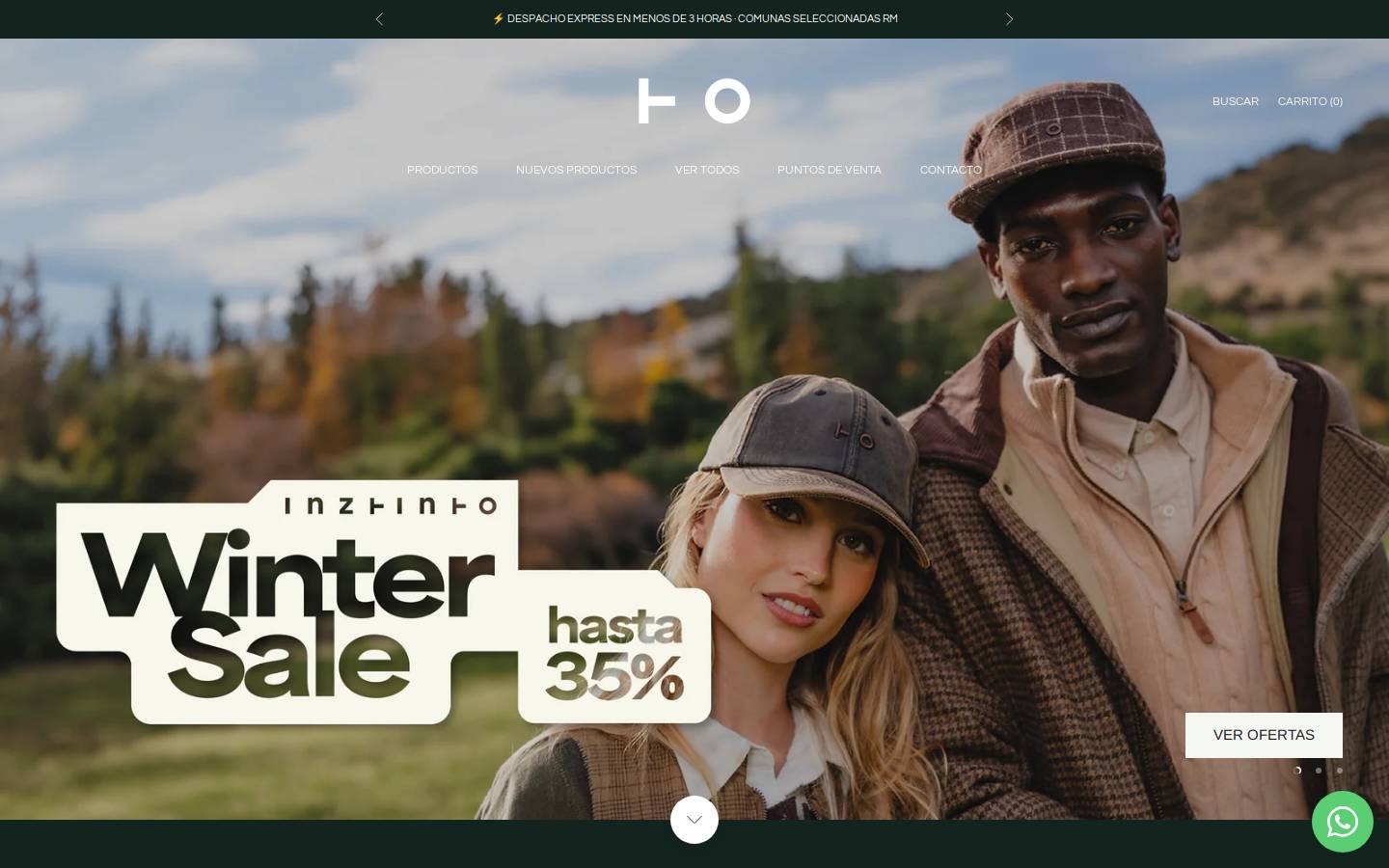 inztinto.cl homepage screenshot