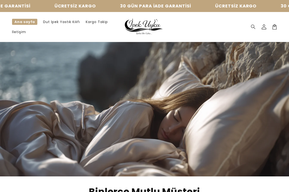 İpek Uyku homepage screenshot