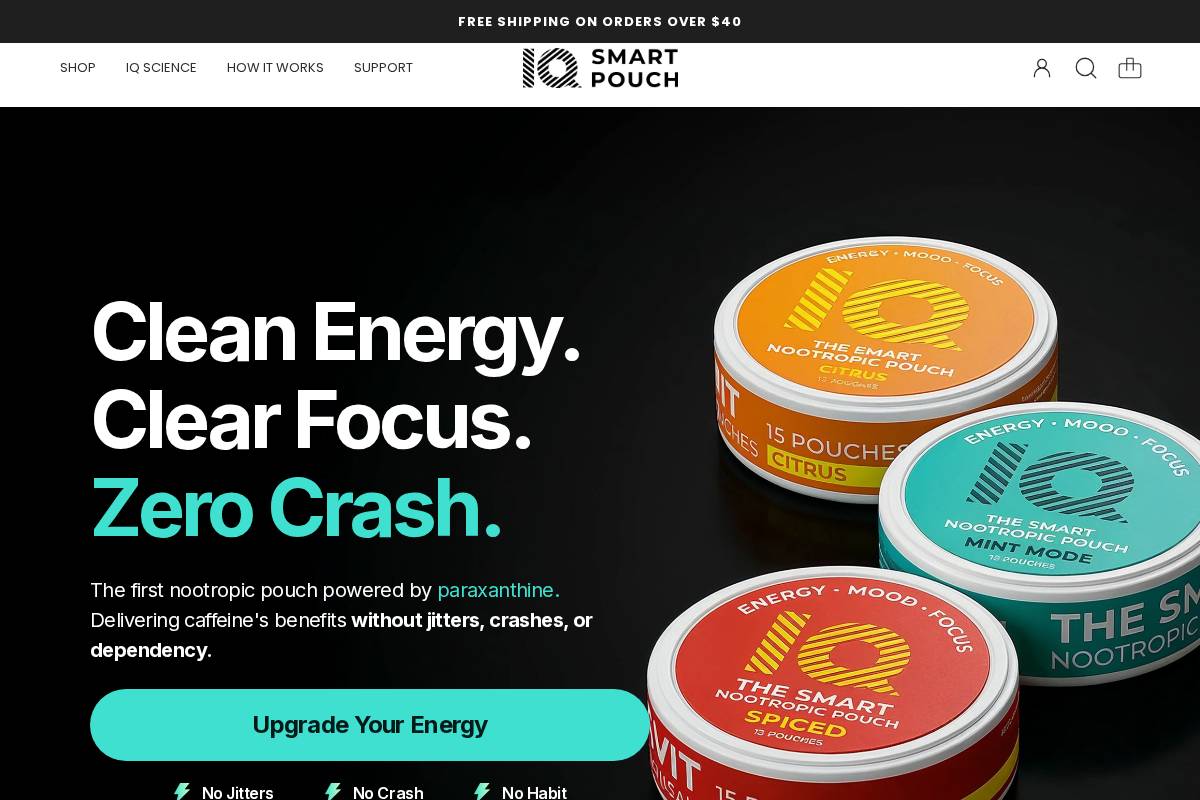 iqpouch.com homepage screenshot