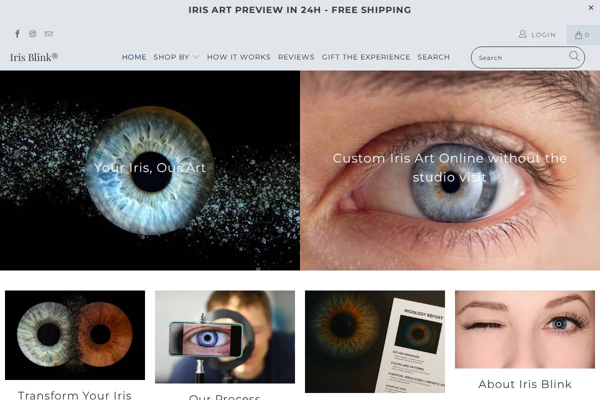 Iris Blink® homepage screenshot