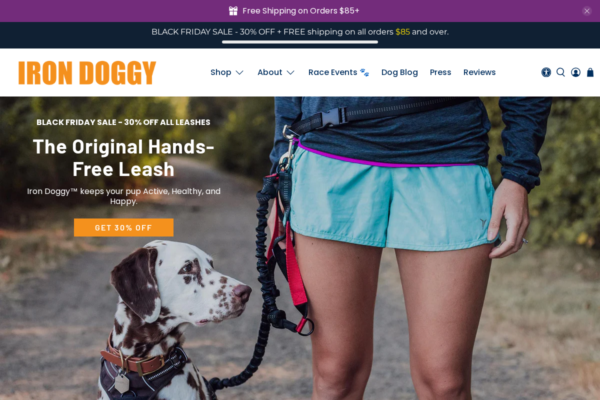 Iron Doggy™ homepage screenshot