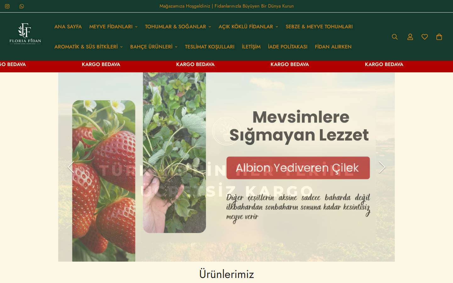 istanbulfidan.com homepage screenshot