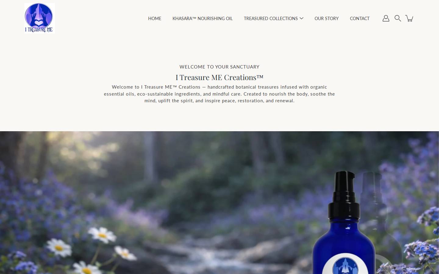 itreasureme.com homepage screenshot