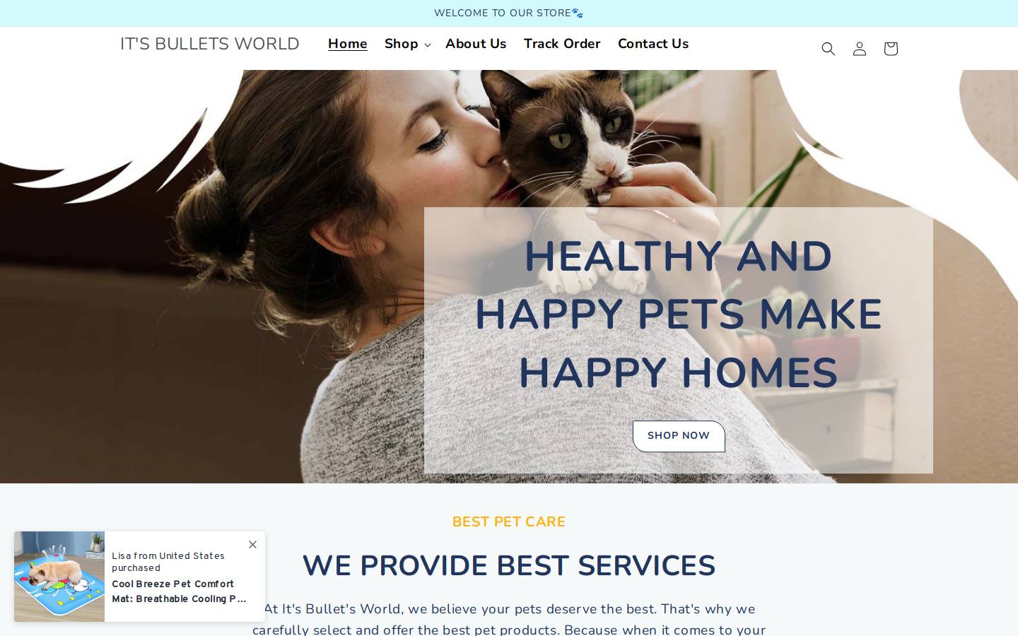 itsbulletsworld.com homepage screenshot