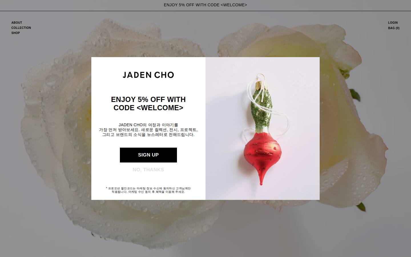 jaden-cho.com homepage screenshot