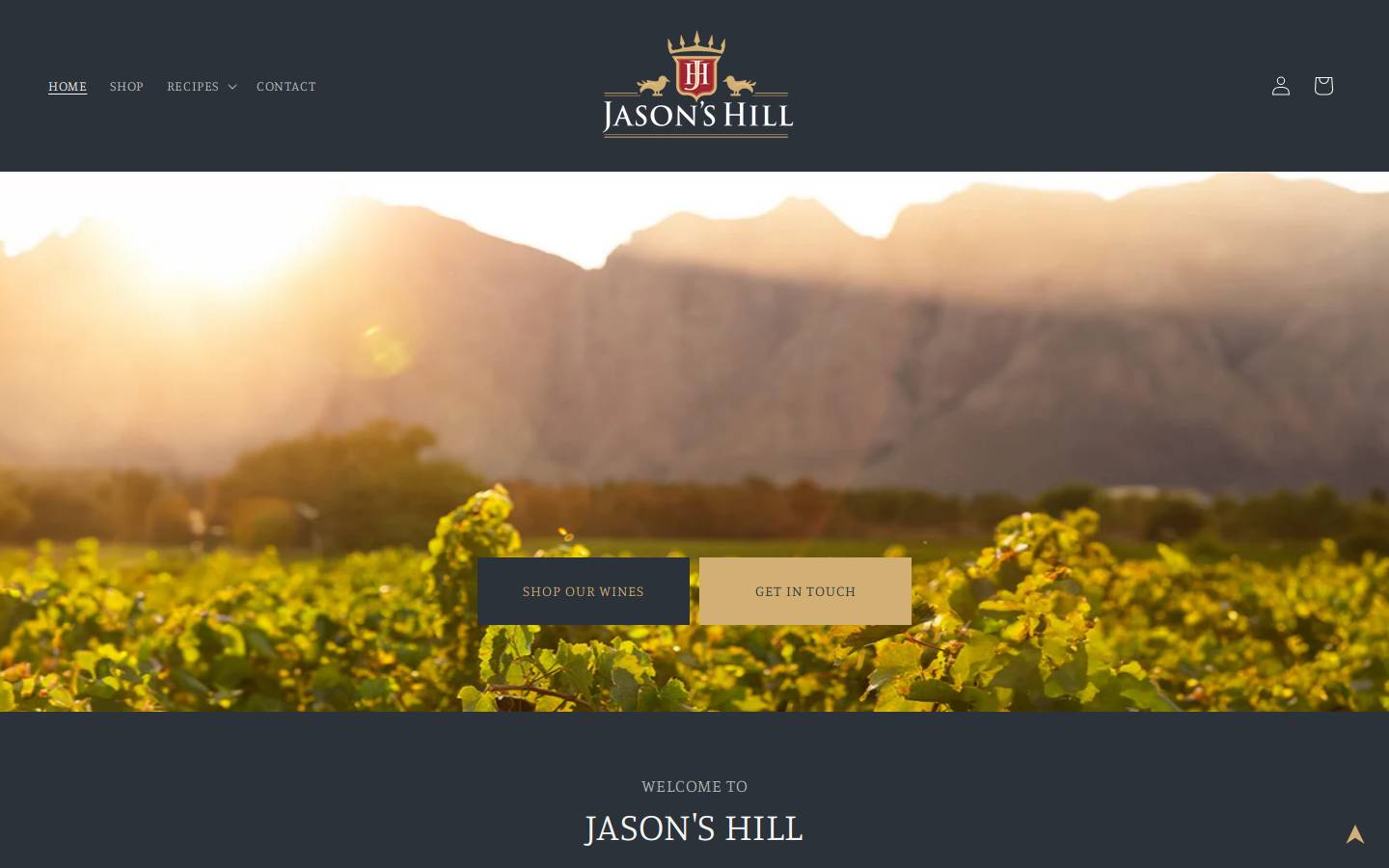 jasonshill.co.za homepage screenshot