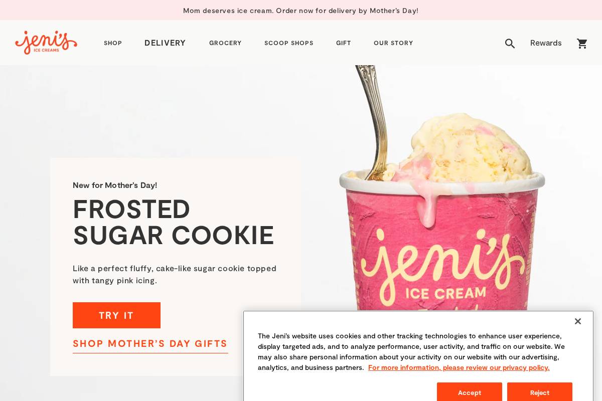 jenis.com homepage screenshot