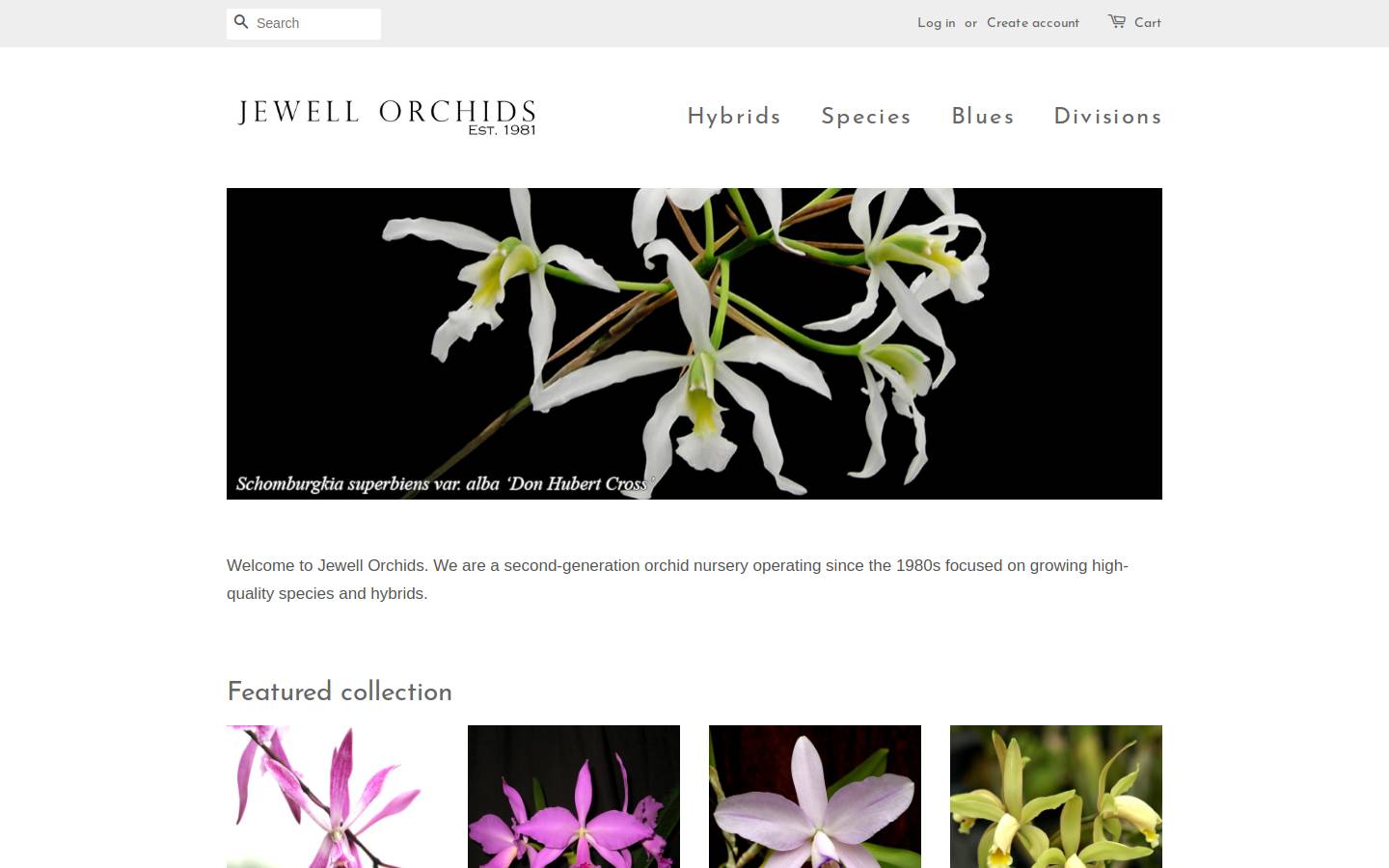 jewellorchids.com homepage screenshot