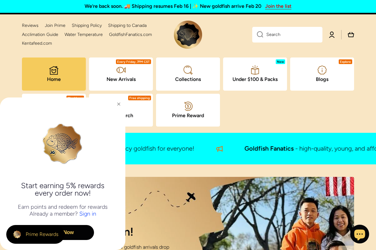 Jimmy Goldfish homepage screenshot