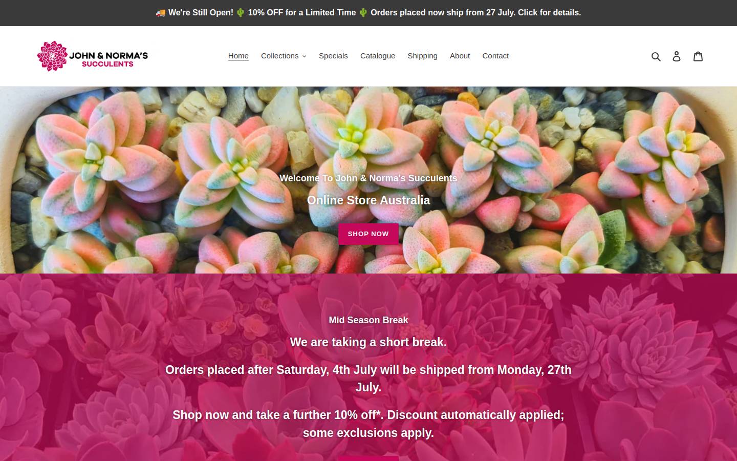jnsucculents.com.au homepage screenshot