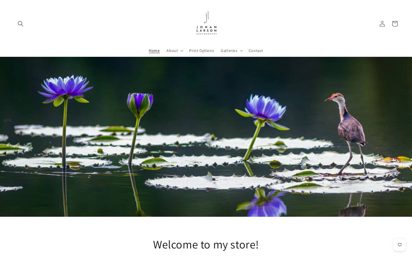 johanlarsonprints.com homepage screenshot