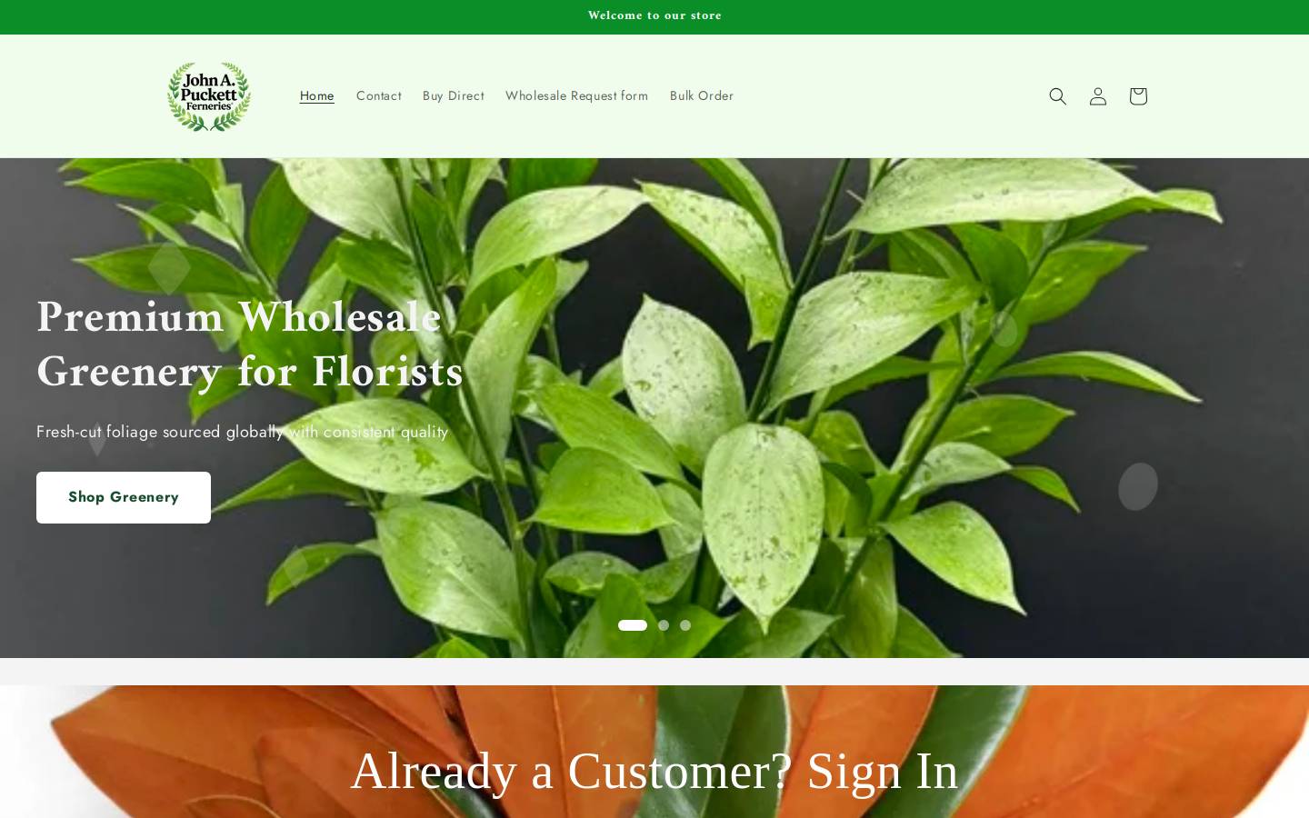 johnpuckettfern.com homepage screenshot