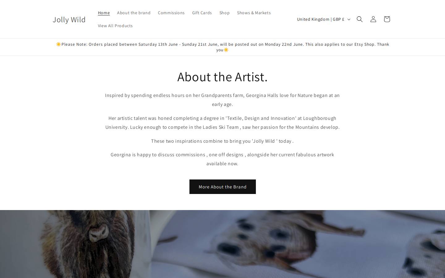 jollywild.com homepage screenshot