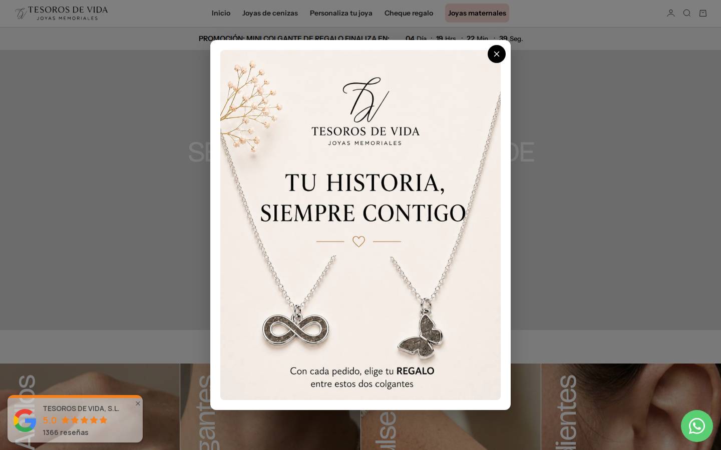 joyadecenizas.es homepage screenshot