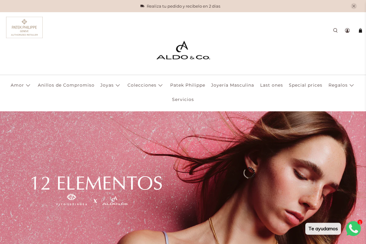 Aldo & Co. homepage screenshot