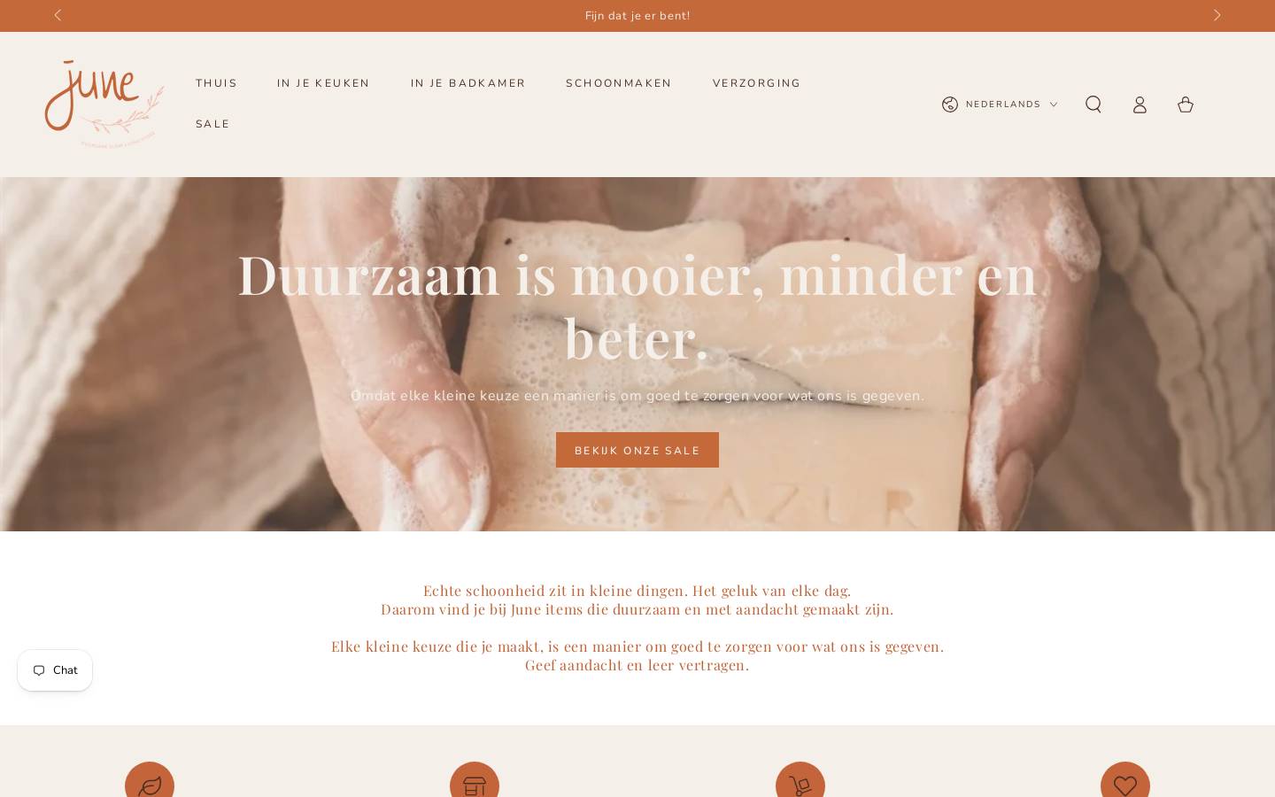June Store homepage screenshot