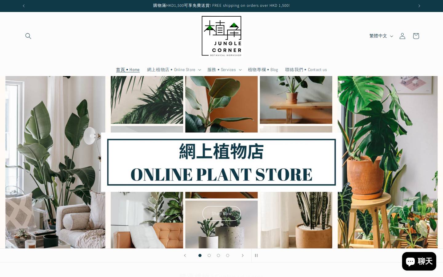 junglecornerhk.com homepage screenshot