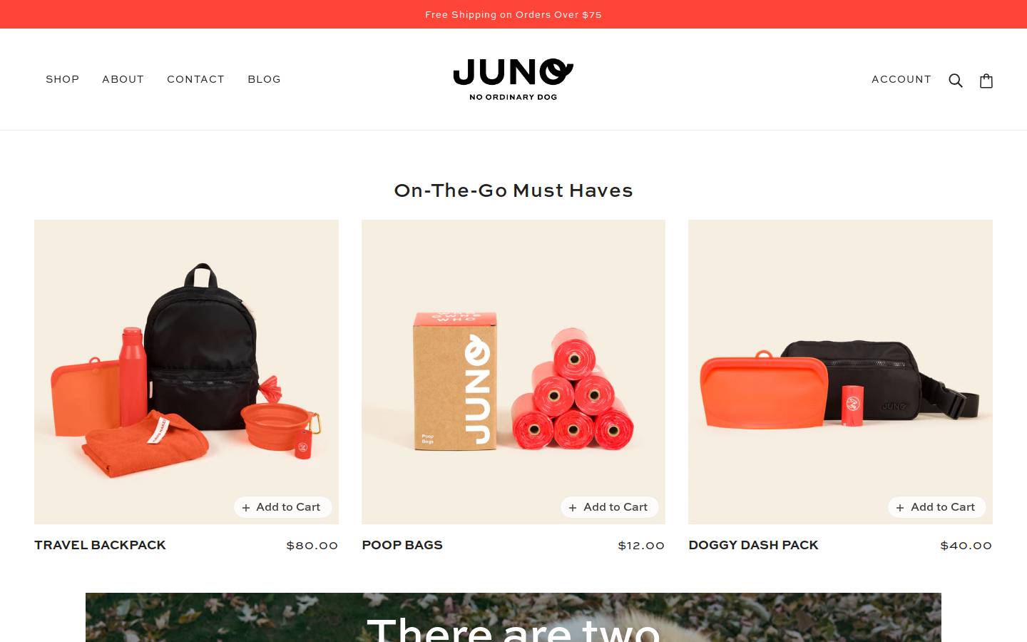 junodogco.com homepage screenshot