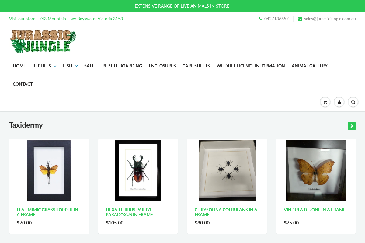 Jurassic Jungle homepage screenshot