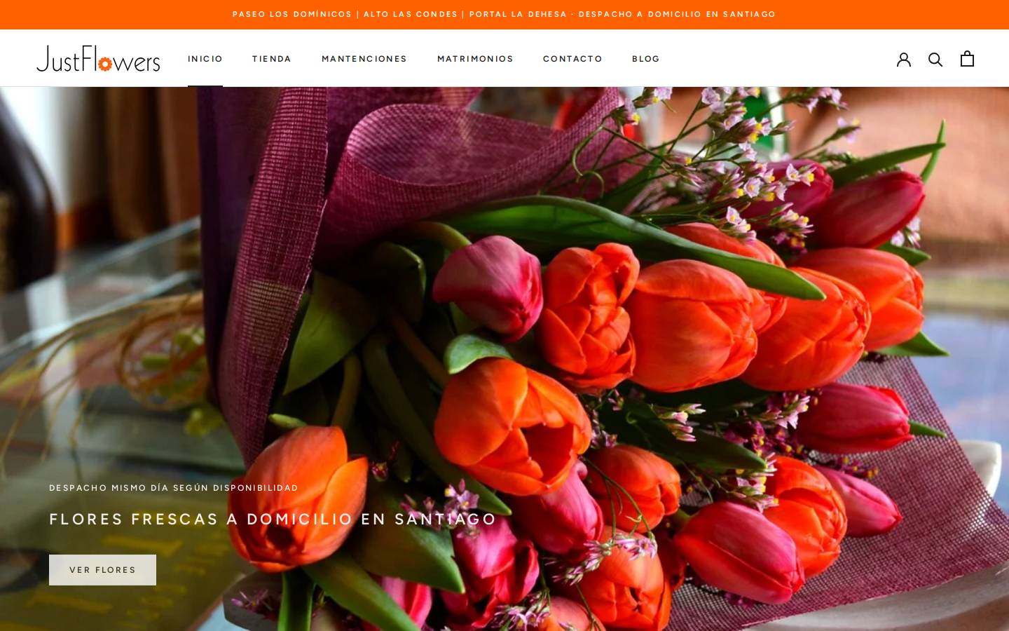 Just Flowers Inc homepage screenshot