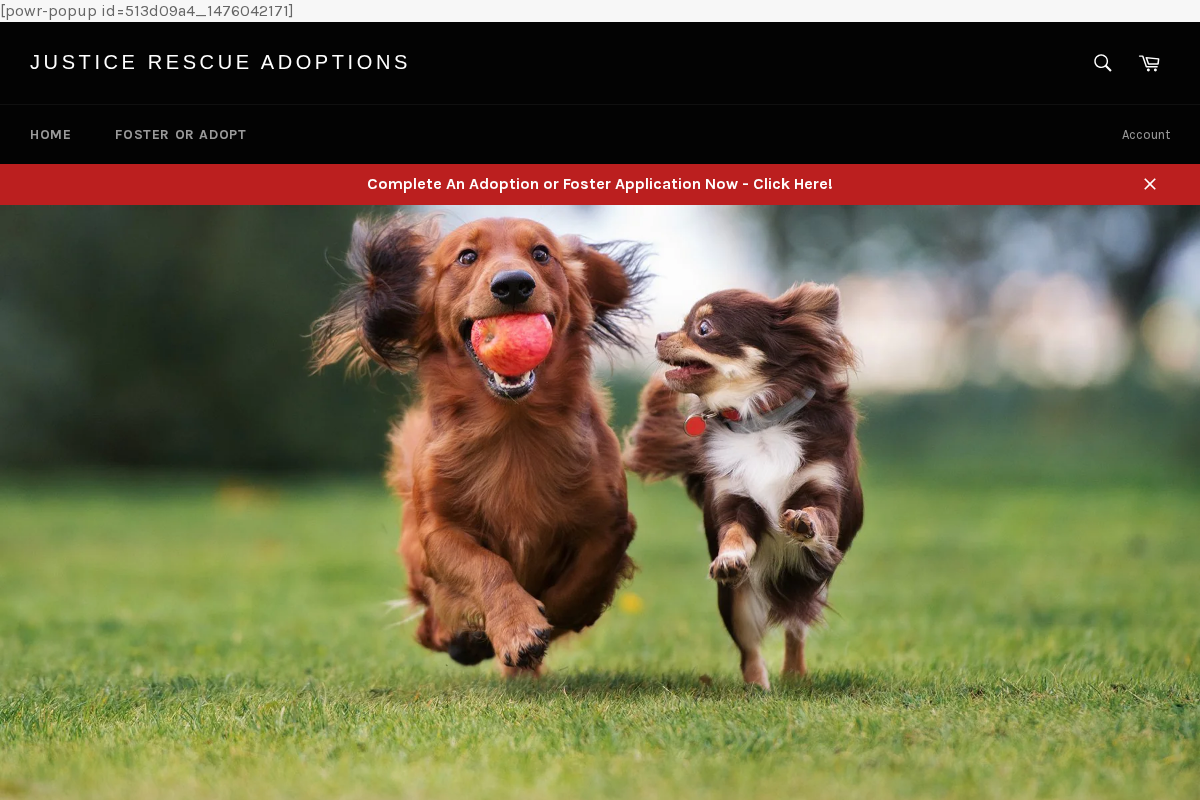 Justice Rescue Adoptions homepage screenshot