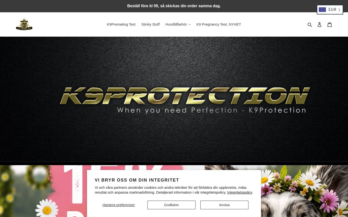k9protection.se homepage screenshot