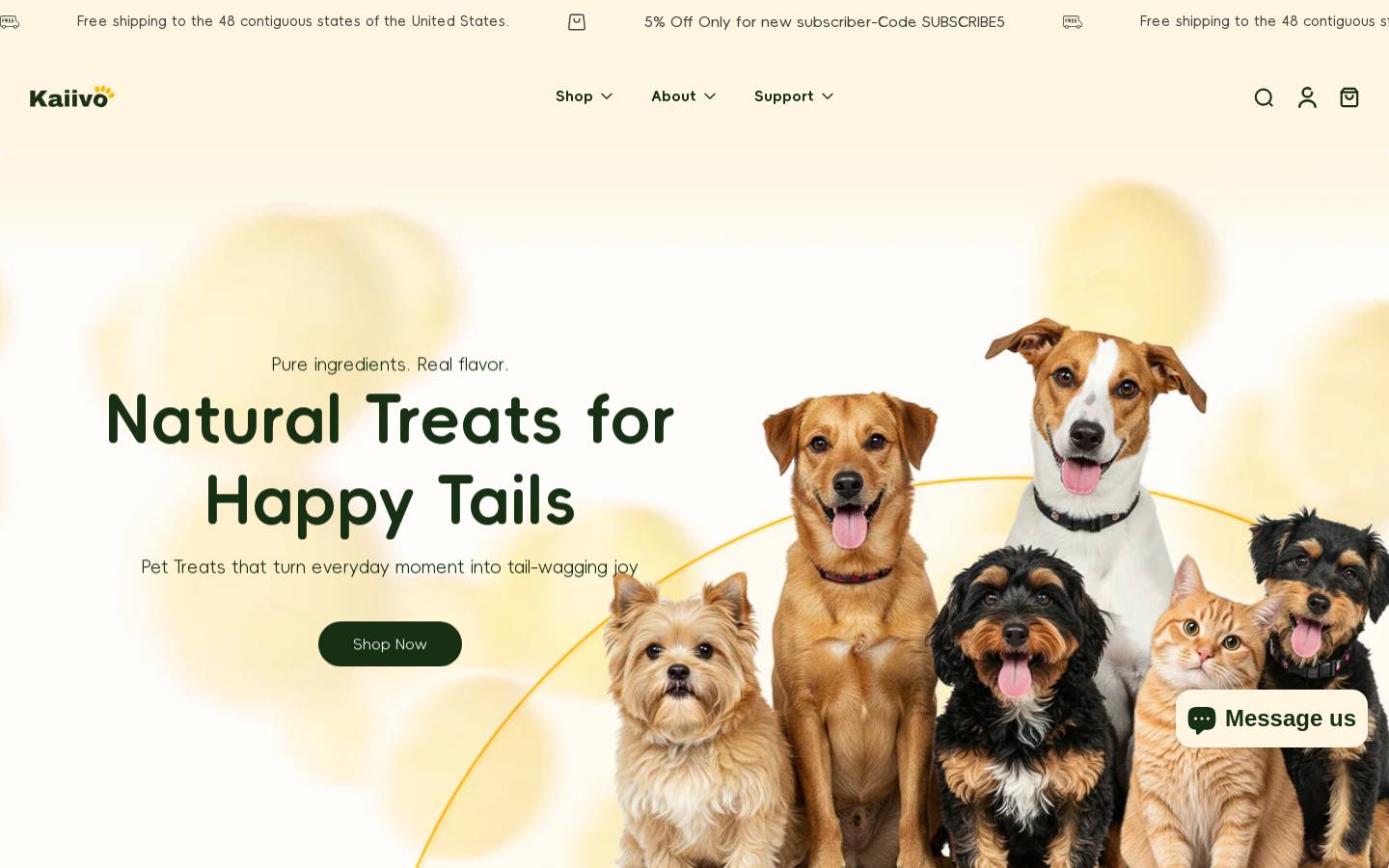 kaiivo.com homepage screenshot