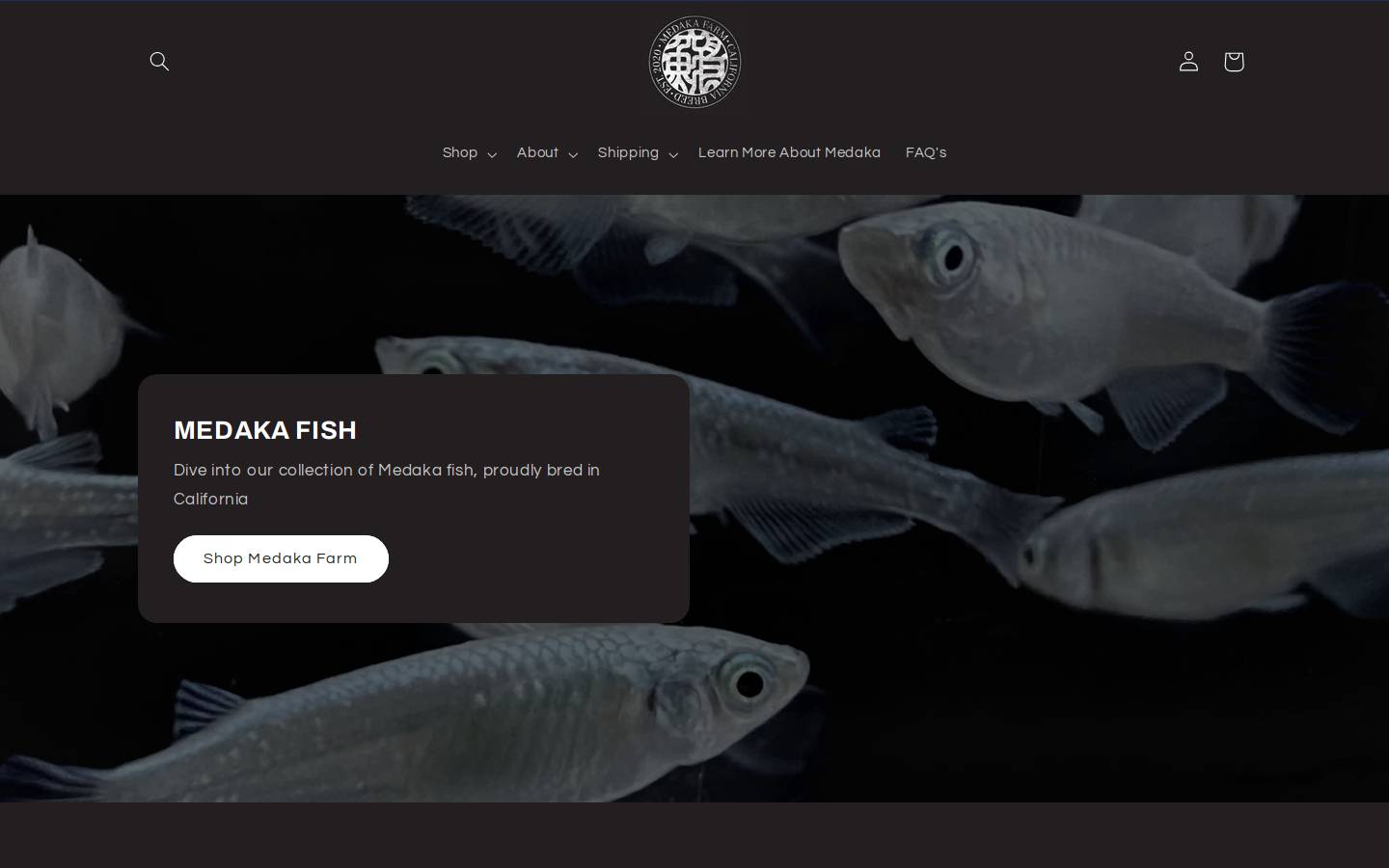 kairyomedaka.com homepage screenshot