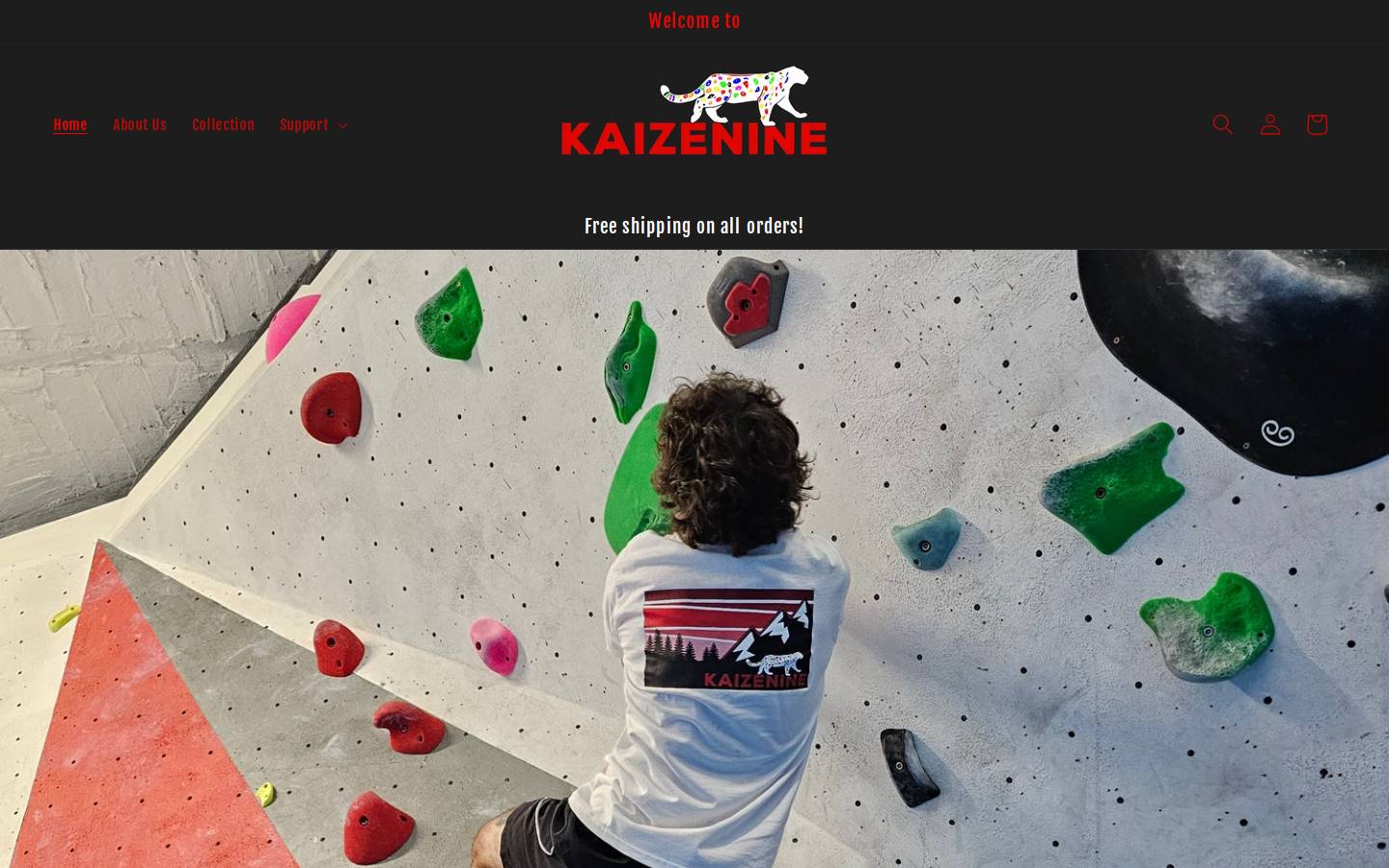 kaizenine.com homepage screenshot