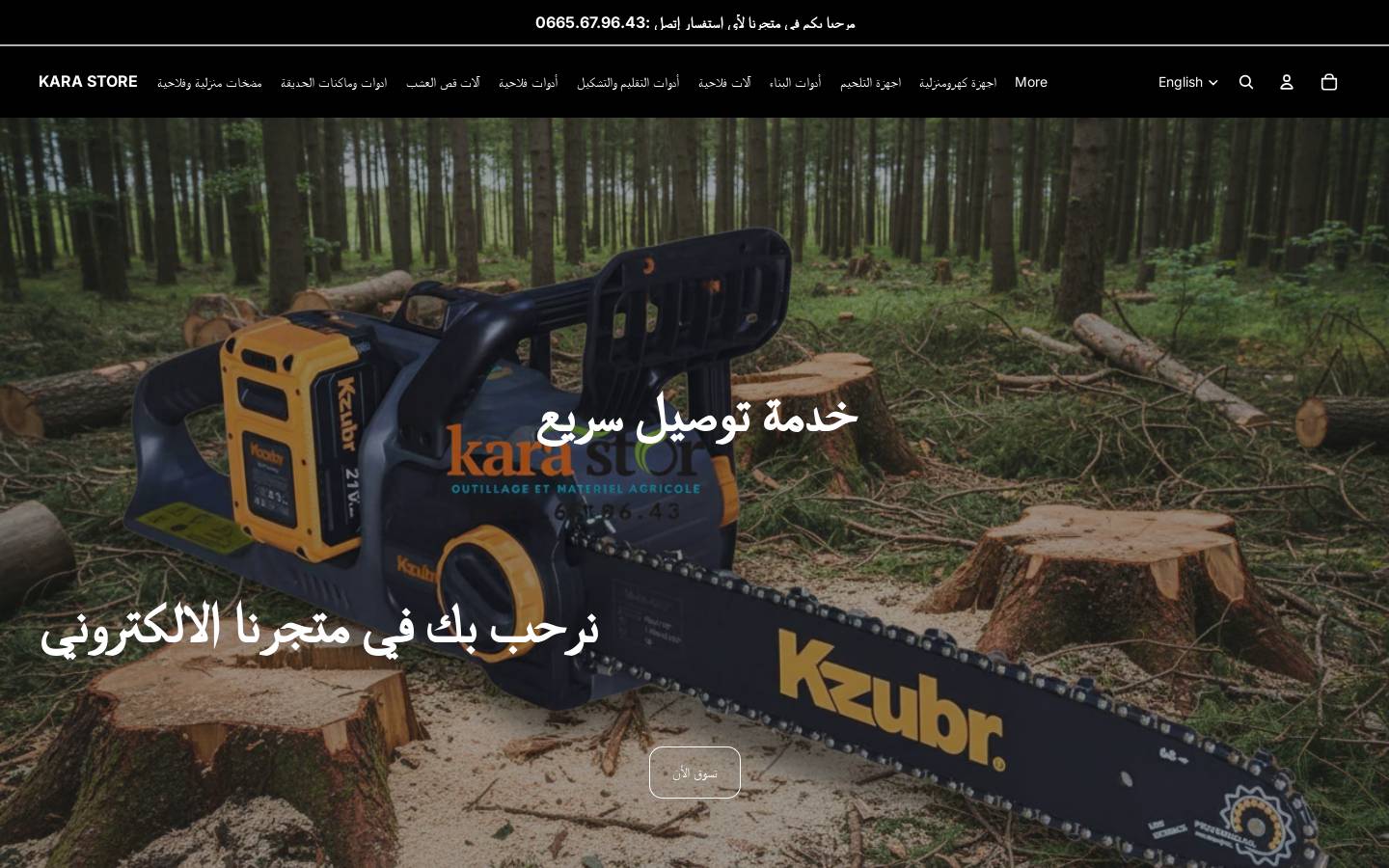 karastoredz.com homepage screenshot