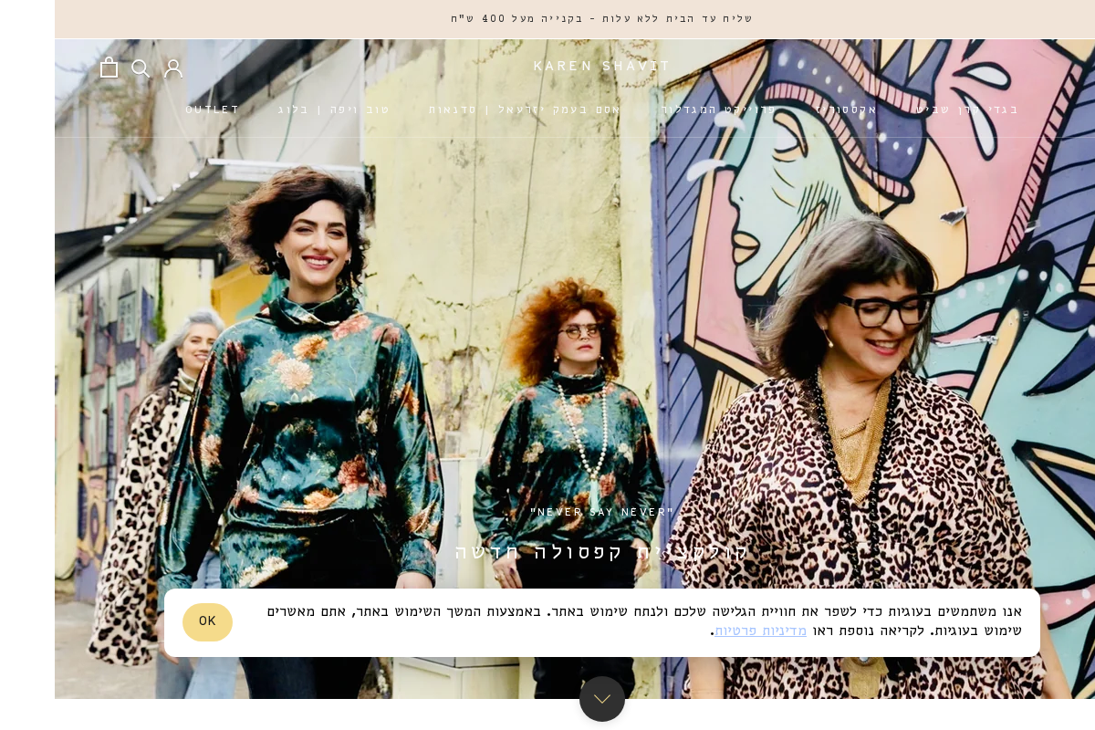 Karen Shavit homepage screenshot