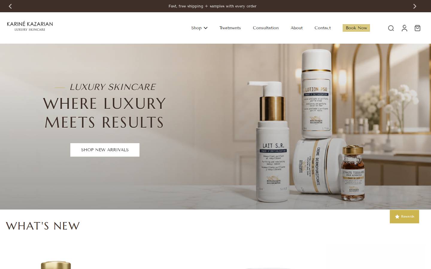 karinekazarian.com homepage screenshot