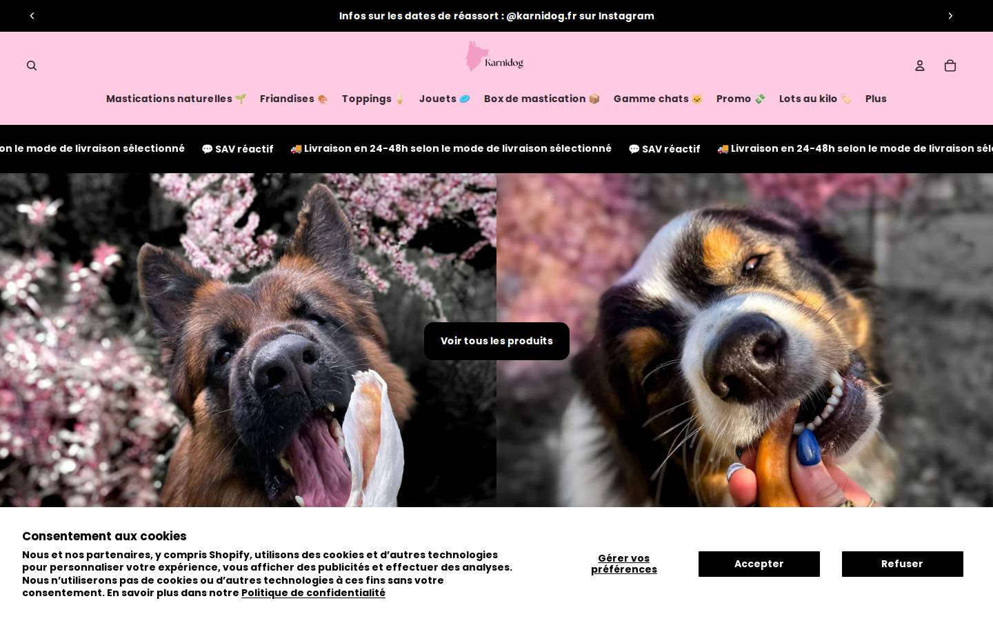 karnidog.com homepage screenshot