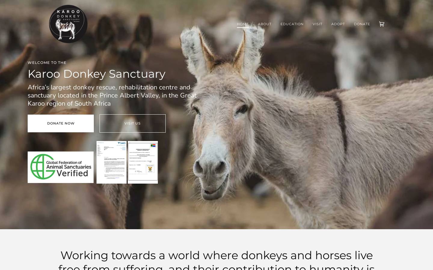karoodonkey.org homepage screenshot