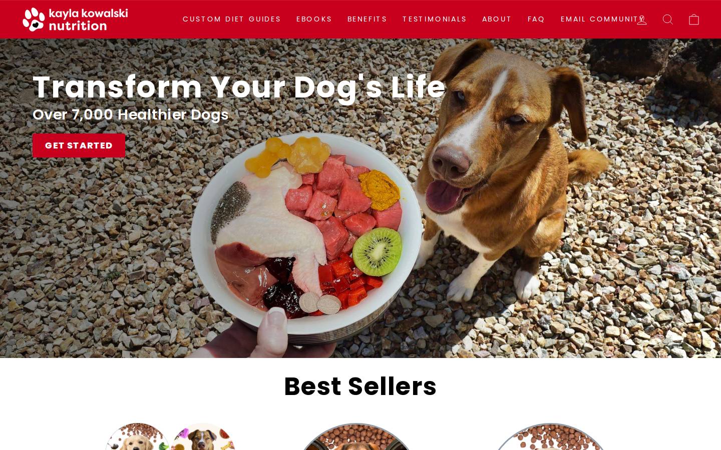 kaylakowalski.com homepage screenshot